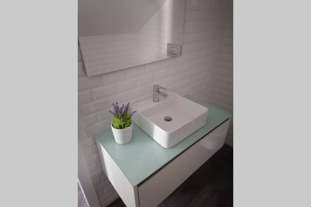 Porta 10 - Perfect For 2 With Small Terrace Aveiro Exterior photo